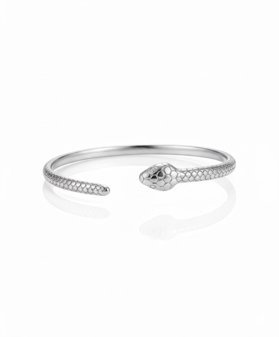 Bracciale Serpente Argento