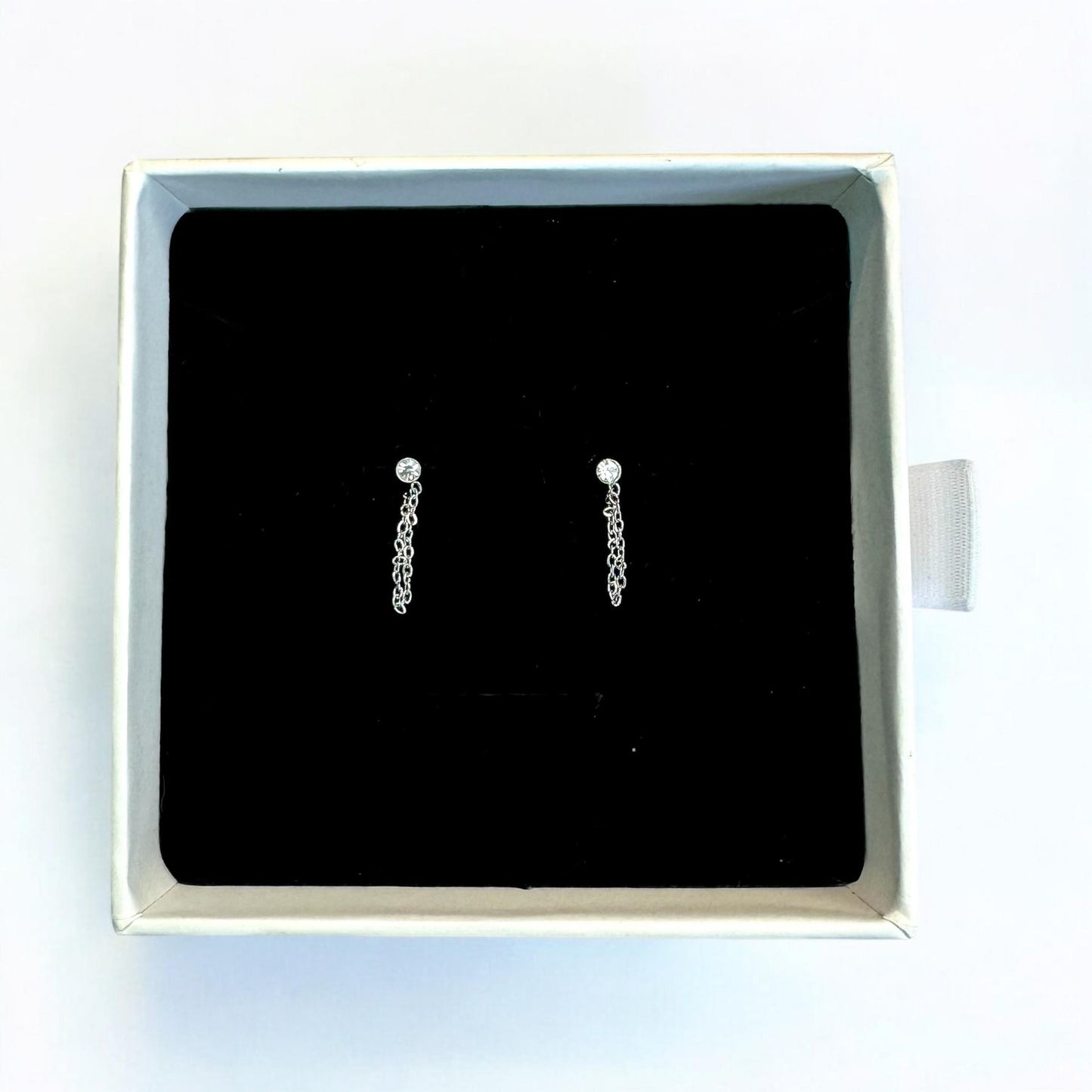 Orecchini Pendenti Chain Argento