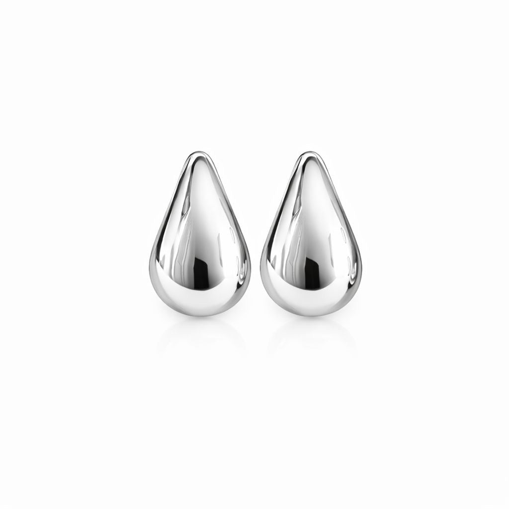 Silver drop earrings