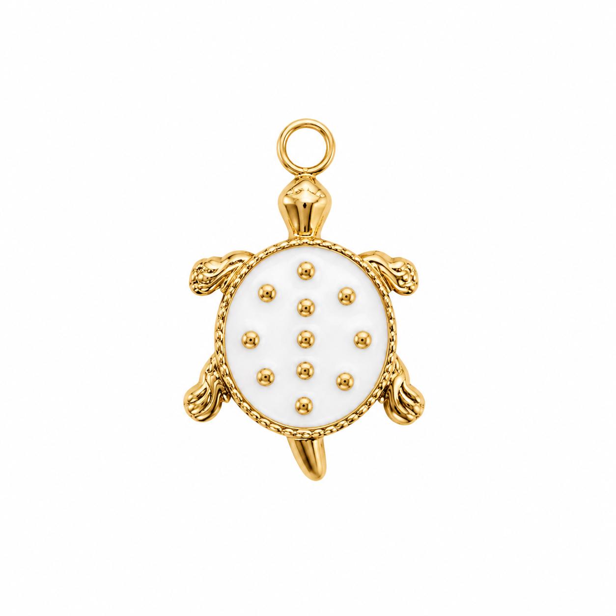 Charm Misti
