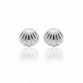 Silberne Muschelohrringe