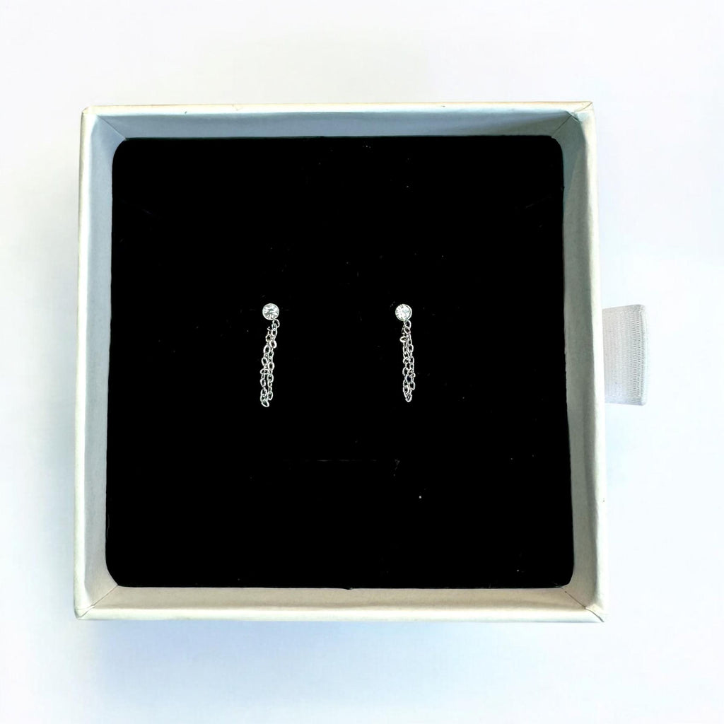 Orecchini Pendenti Chain Argento