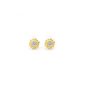 Butterfly earrings